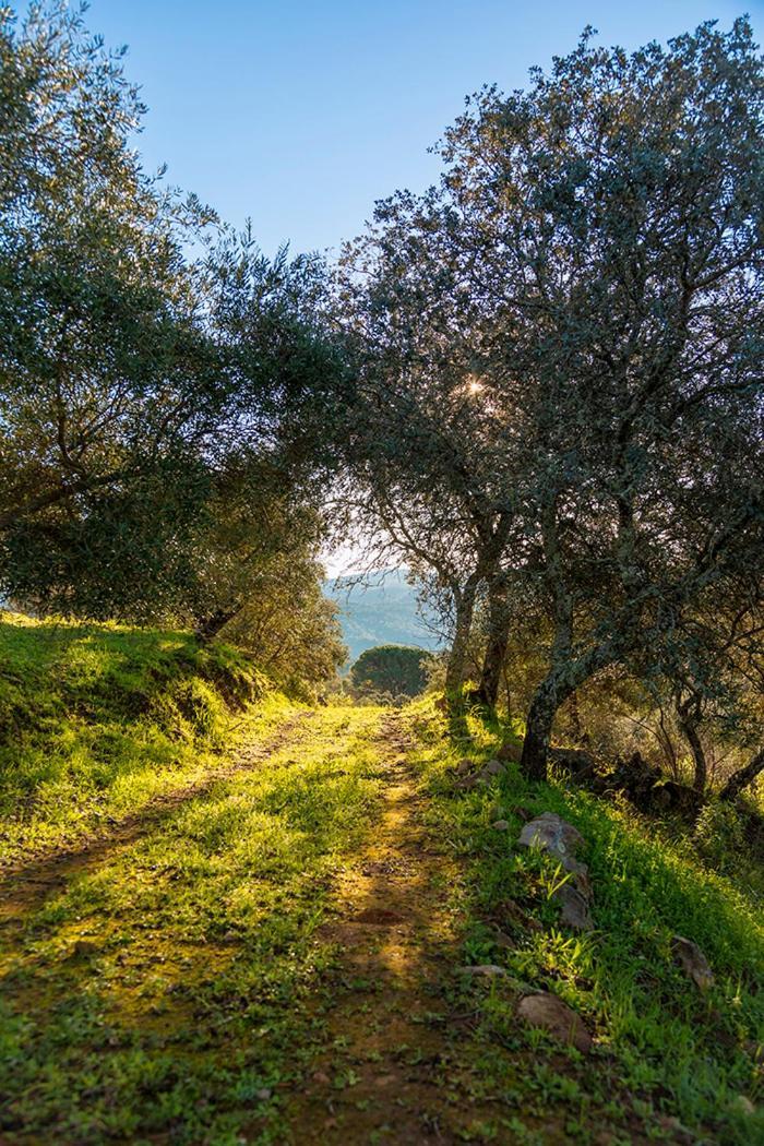 Вілла Isla Virgen Villaviciosa de Cordoba Екстер'єр фото